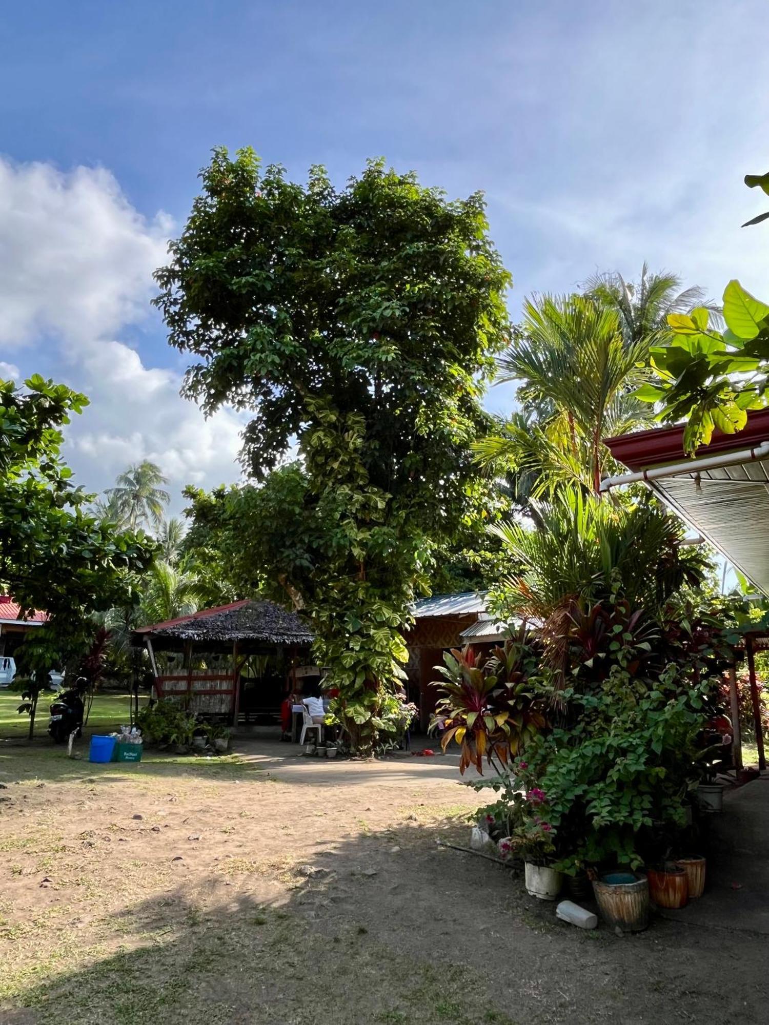 Paco's Garden Home Stay Mambajao Buitenkant foto